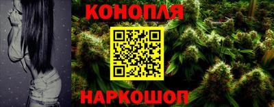 индика Малгобек