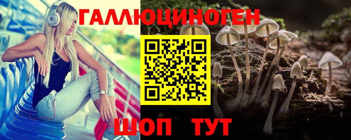 Псилоцибиновые грибы Cubensis  Псилоцибиновые грибы Psilocybine cubensis  Видное  Вход с VPN 